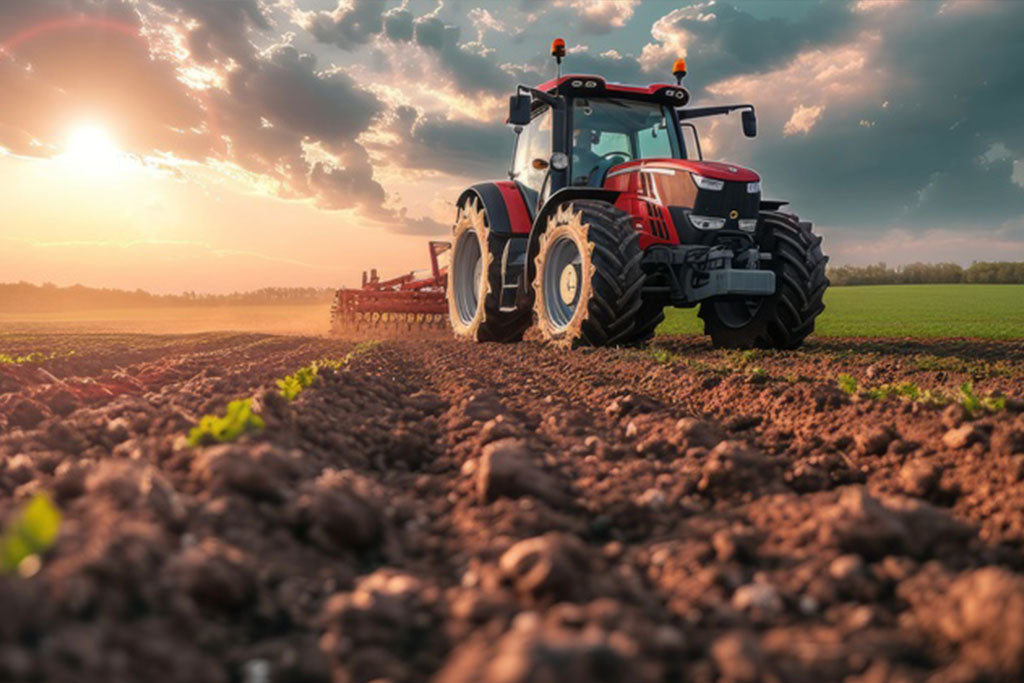 From Hard Benches to Shock-Absorbing Thrones